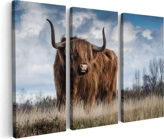 Artaza Canvas Schilderij Drieluik Schotse Hooglander Koe - Kleur - 180x120 - Groot - Foto Op Canvas - Canvas Print